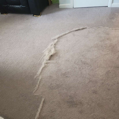 Uproot Cleaner Pro™